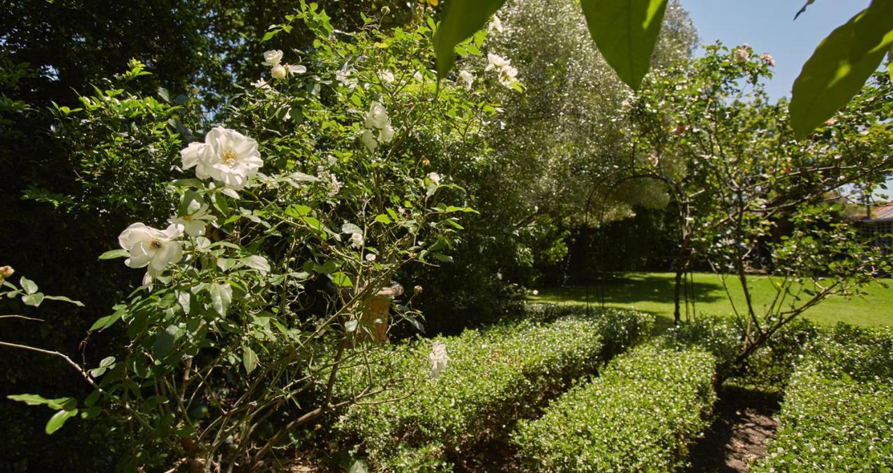 קייפטאון Villa Puccini מראה חיצוני תמונה