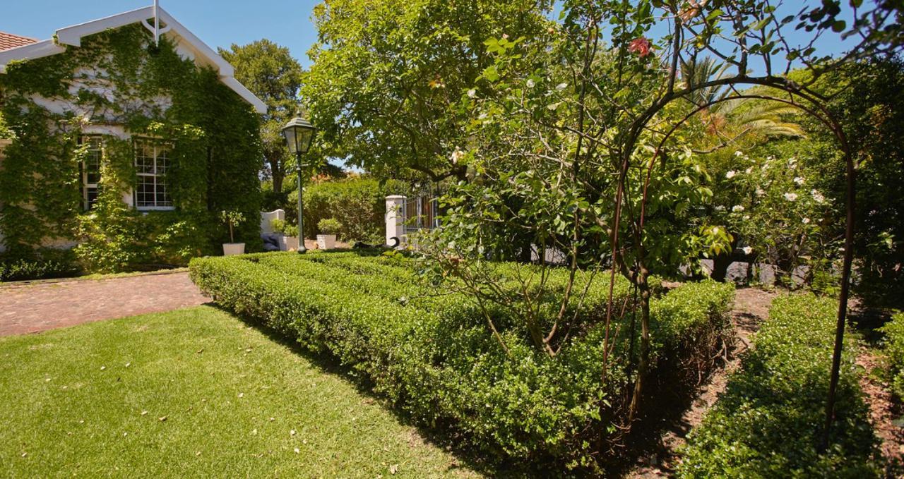 קייפטאון Villa Puccini מראה חיצוני תמונה